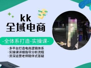 KK全域电商，全体系打造实操课，多平台打造电商逻辑体系-最全资源库
