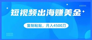 短视频出海赚美金，复制粘贴批量操作，小白轻松掌握，月入4500美刀【揭秘】-最全资源库