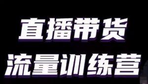 直播带货流量训练营，小白主播必学直播课-最全资源库