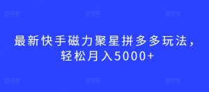 最新快手磁力聚星拼多多玩法，轻松月入5000+【揭秘】-最全资源库