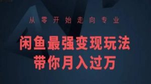 从零开始走向专业，闲鱼最强变现玩法带你月入过万-最全资源库