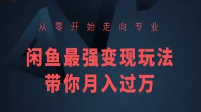 从零开始走向专业，闲鱼最强变现玩法带你月入过万-最全资源库