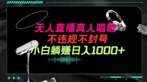抖音24小时无人直播音乐，不违规，不封号纯撸音浪，小白实操当天日入1000+【揭秘】-最全资源库