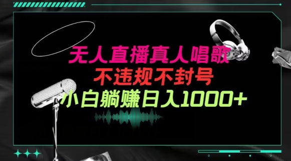 抖音24小时无人直播音乐，不违规，不封号纯撸音浪，小白实操当天日入1000+【揭秘】-最全资源库