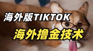 抖音海外版tiktok撸金技术，这个风口行业，赚钱真的不难【揭秘】-最全资源库