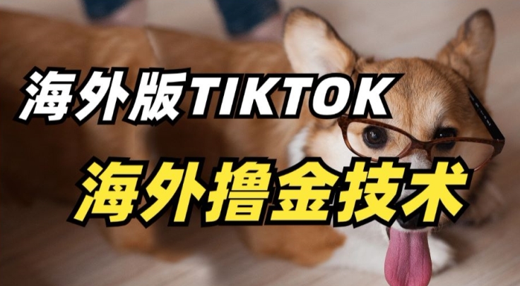 抖音海外版tiktok撸金技术，这个风口行业，赚钱真的不难【揭秘】-最全资源库