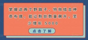 掌握这两个野路子,特效结合神奇布偶,能让粉丝数量飙升,至少增长 5000【揭秘】-最全资源库