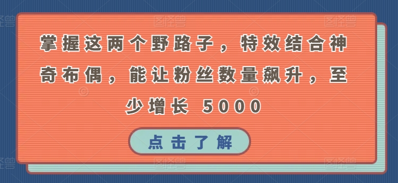 掌握这两个野路子,特效结合神奇布偶,能让粉丝数量飙升,至少增长 5000【揭秘】-最全资源库