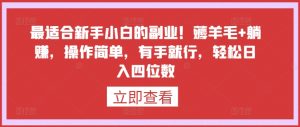 最适合新手小白的副业!薅羊毛+躺赚,操作简单,有手就行,轻松日入四位数【揭秘】-最全资源库