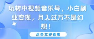 玩转中视频音乐号，小白副业变现，月入过万不是幻想【揭秘】-最全资源库