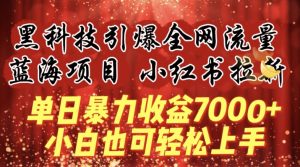 蓝海项目!黑科技引爆全网流量小红书拉新,单日暴力收益7000+,小白也能轻松上手【揭秘】-最全资源库