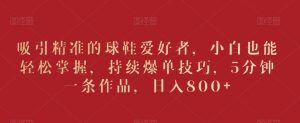 吸引精准的球鞋爱好者，小白也能轻松掌握，持续爆单技巧，5分钟一条作品，日入800+【揭秘】-最全资源库