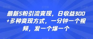 最新S粉引流变现，日收益300+多种变现方式，一分钟一个视频，发一个爆一个【揭秘】-最全资源库