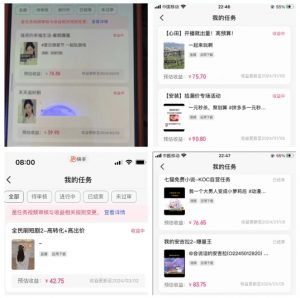 2024年3月最新，快手磁力聚星全流程实操教学，8台手机日均收益稳定100~200元【揭秘】-最全资源库