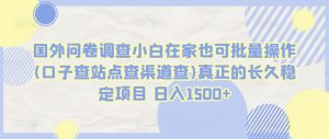 国外问卷调查小白在家也可批量操作(口子查站点查渠道查)真正的长久稳定项目 日入1500+【揭秘】-最全资源库
