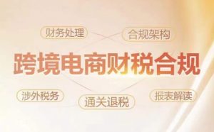 跨境老板财税合规特训营,规避财税风险、提升企业利润-最全资源库