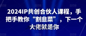 2024IP共创合伙人课程，手把手教你“割韭菜”，下一个大佬就是你-最全资源库