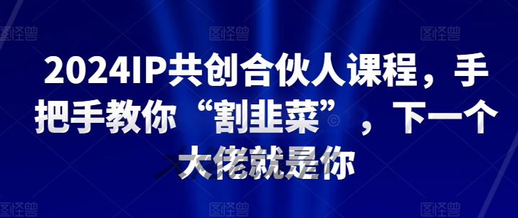 2024IP共创合伙人课程，手把手教你“割韭菜”，下一个大佬就是你-最全资源库