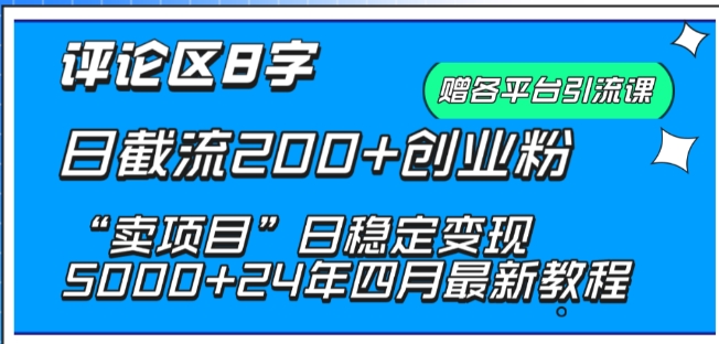 抖音评论区8字日截流200+创业粉 “卖项目”日稳定变现5000+【揭秘】-最全资源库