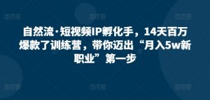 自然流·短视频IP孵化手，14天百万爆款了训练营，带你迈出“月入5w新职业”第一步-最全资源库