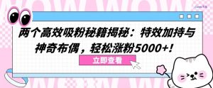 两个高效吸粉秘籍揭秘：特效加持与神奇布偶，轻松涨粉5000+【揭秘】-最全资源库