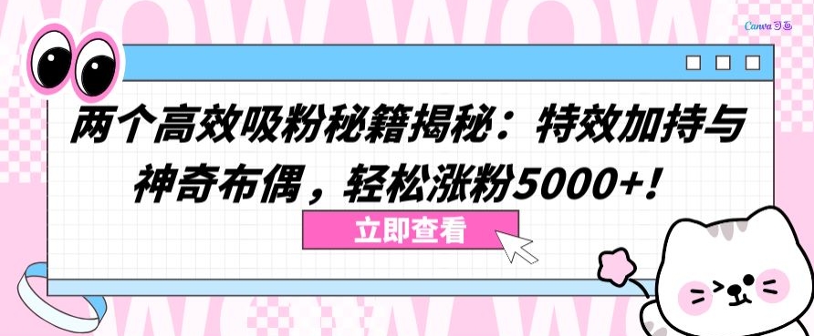 两个高效吸粉秘籍揭秘：特效加持与神奇布偶，轻松涨粉5000+【揭秘】-最全资源库