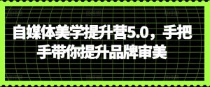 自媒体美学提升营5.0,手把手带你提升品牌审美-最全资源库