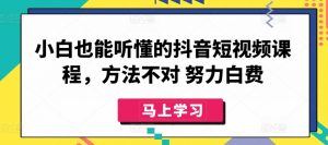 小白也能听懂的抖音短视频课程,方法不对 努力白费-最全资源库