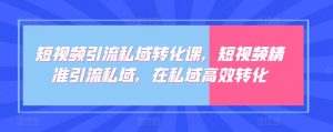 短视频引流私域转化课，短视频精准引流私域，在私域高效转化-最全资源库