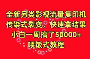 全新另类影视流量复印机，传染式裂变，快速拿结果，小白一周搞了50000+，喂饭式教程【揭秘】-最全资源库