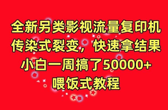 全新另类影视流量复印机，传染式裂变，快速拿结果，小白一周搞了50000+，喂饭式教程【揭秘】-最全资源库