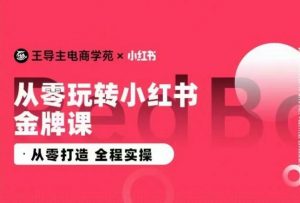 王导主·小红书电商运营实操课,从零打造 全程实操-最全资源库