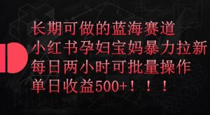 长期可做的蓝海赛道，小红书孕妇宝妈暴力拉新玩法，每日两小时可批量操作，单日收益500+【揭秘】-最全资源库