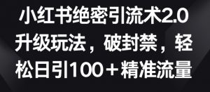 小红书绝密引流术2.0升级玩法,破封禁,轻松日引100+精准流量【揭秘】-最全资源库