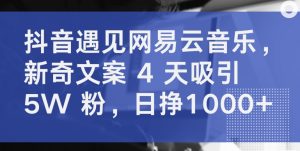 抖音遇见网易云音乐，新奇文案 4 天吸引 5W 粉，日挣1000+【揭秘】-最全资源库