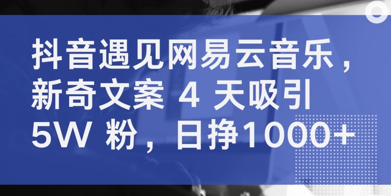 抖音遇见网易云音乐,新奇文案 4 天吸引 5W 粉,日挣1000+【揭秘】-最全资源库