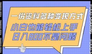 一份资料多种变现方式，小白也能轻松上手，日入800不是问题【揭秘】-最全资源库