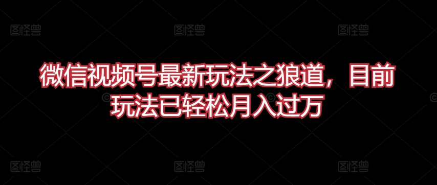 微信视频号最新玩法之狼道，目前玩法已轻松月入过万【揭秘】-最全资源库