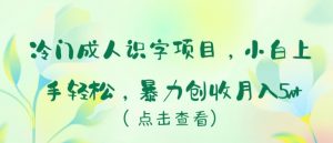 冷门成人识字项目，小白上手轻松，暴力创收月入5w+【揭秘】-最全资源库
