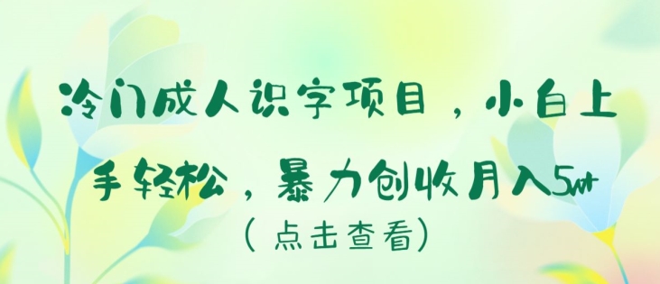 冷门成人识字项目，小白上手轻松，暴力创收月入5w+【揭秘】-最全资源库