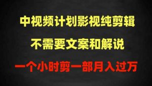 中视频计划影视纯剪辑，不需要文案和解说，一个小时剪一部，100%过原创月入过万【揭秘】-最全资源库