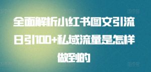 全面解析小红书图文引流日引100+私域流量是怎样做到的【揭秘】-最全资源库