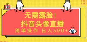 无需露脸，Ai头像直播项目，简单操作日入500+【揭秘】-最全资源库