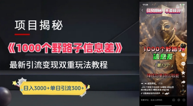一千个野路子信息差最新玩法教程-变现+引流的玩法具体拆解【揭秘】-最全资源库