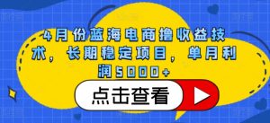 4月份蓝海电商撸收益技术，长期稳定项目，单月利润5000+【揭秘】-最全资源库