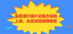 自然流打造IP正确方法线上课，自然流短视频教程-最全资源库