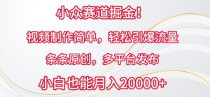 小众赛道掘金，视频制作简单，轻松引爆流量，条条原创，多平台发布【揭秘】-最全资源库
