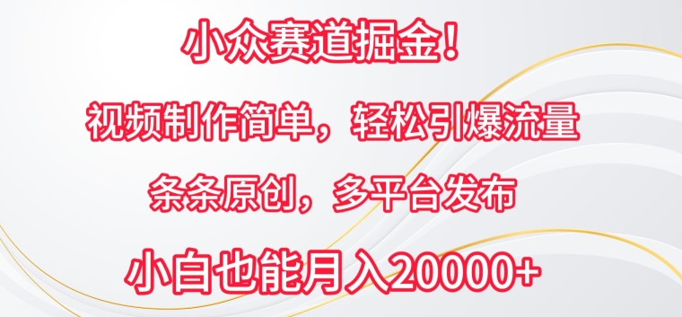 小众赛道掘金，视频制作简单，轻松引爆流量，条条原创，多平台发布【揭秘】-最全资源库