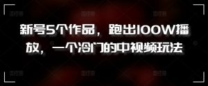 新号5个作品,跑出100W播放,一个冷门的中视频玩法【揭秘】-最全资源库