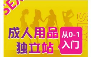 成人用品独立站从0-1入门，成品独立站运营全流程教学，七大好卖成品独立站推荐-最全资源库